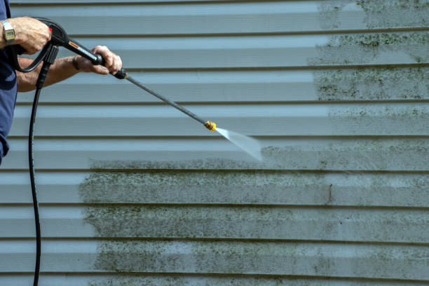 Best Spring Cleaning  in Rantoul, IL